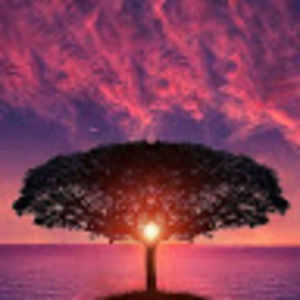 Meet your Posher, Alan